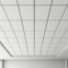 Потолок, акустические панели